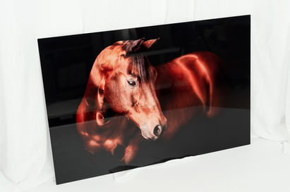 Album, fotoalbum, fotoboek, babyboek, babyfoto, babyfotoshoot, babyfotos, babyfotograaf, newborn, newbornfotoshoot, newbornfoto, newbornfotografie, newbornsessie, newbornfotograaf, fotograaf, fotograafwestvlaanderen, fotograafoostkamp, oostkamp, brugge, alisonbecu, alisonbqphotography, alisonbq, fotografie, fotoproducten, fotoshoots, herinneringen, fotoprints, fotoboeken, fineart, kunstfoto, paardenfotografie, paardenfoto, paardenfotograaf, paard, pony, fotokader, canvas, print, paardenfotografie, blackfoto, dierenfoto, dierenfotografie, dierenfotograaf, portretfoto, portretfotografie, portretfotograaf, familiefoto, familiefotograaf, familiefotoshoot, familieportret, gezinsfotografie, gezinsfoto, gezinsfotoshoot, gezinsfotograaf