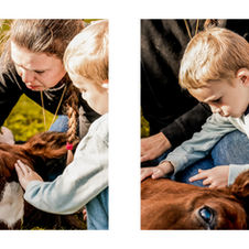 afscheid, afscheid nemen van, afscheid nemen, waardevolle herinnering, paardenafscheid, afscheid van je paard, paardenfotoshoot, paarden aandenken, aandenking, herinneringen, foto herinneringen, paardenfotoshoot, fotografie, fotoshoots, fotoalbum, fotoboek, paard cremeren, paard ophalen, paardensierraden, sierraad, fotoafdruk, paardenfotoshoot, fotograaf west-vlaanderen, fotograaf paard, fotograaf oostkamp, alison becu, alisonbq