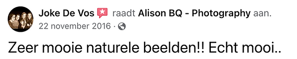Schermafbeelding 2023-12-25 om 12.19.39.png