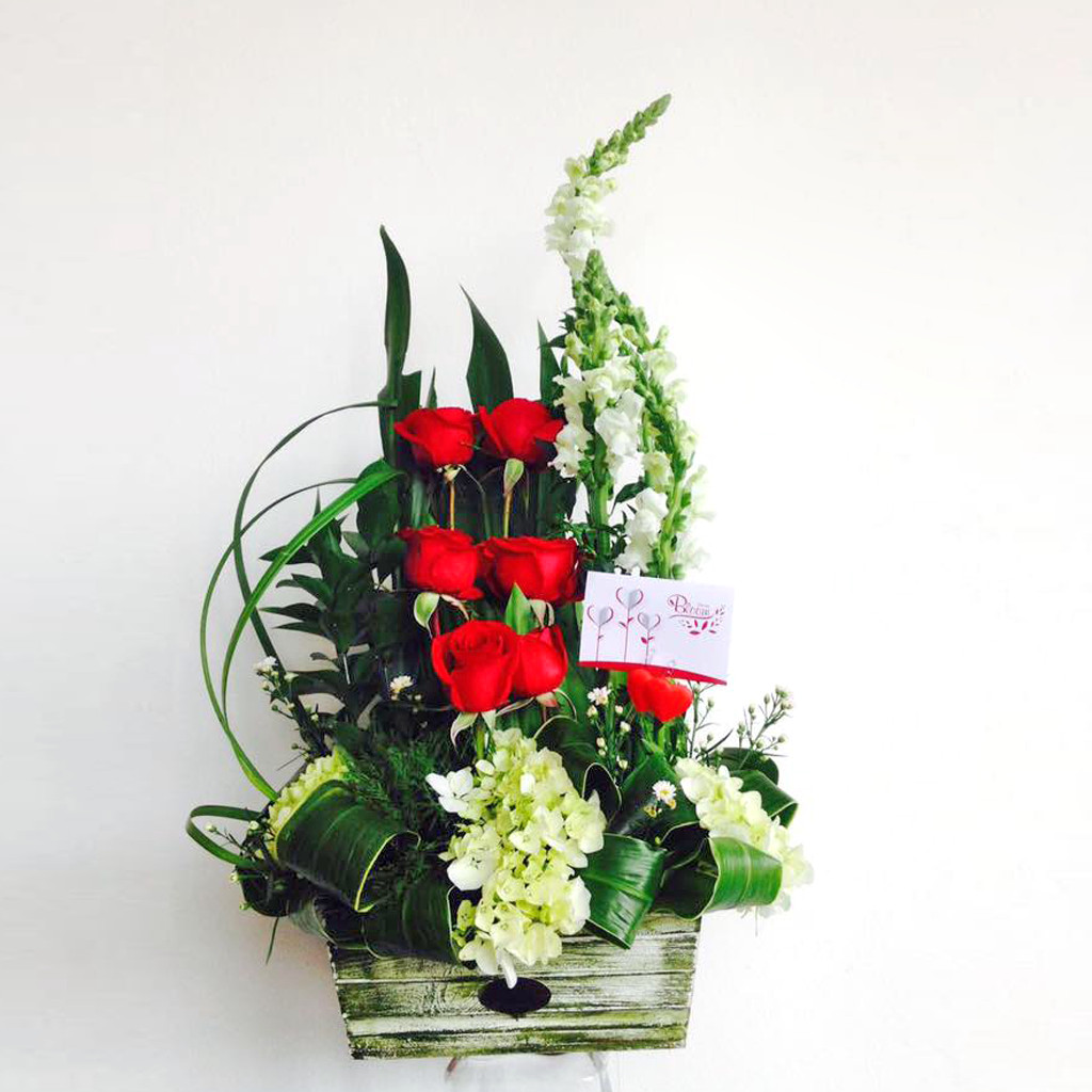 rosas-hortensias-flores-bloom