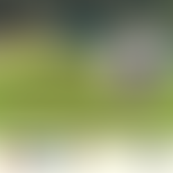 Ngamu (Healing) Retreat, Friday 15 May 2026 - Sunday 17 May 2026