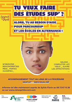 PARCOURSUP WEB (1).jpg