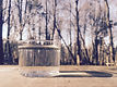IMG_3384.jpeg