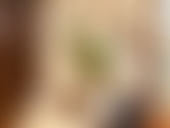 相手とも自分とも向き合い、自分の言葉を紡ぐ　上村典子（2003年ドイツ派遣）