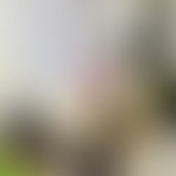 Beyond Donations- Volunteering and Sharing my artistic skills