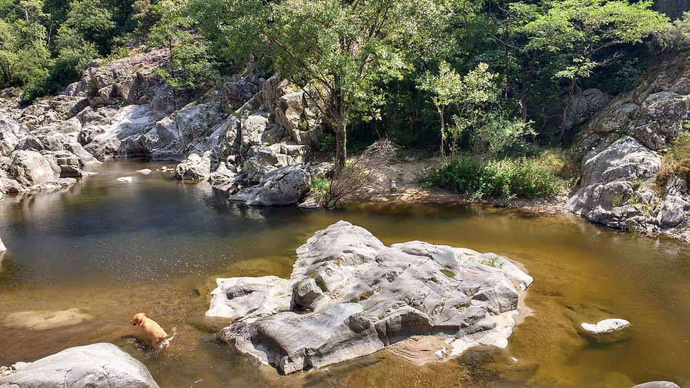 the river
