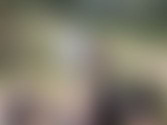 De la terre à l'assiette