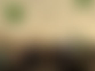  100mila visitatori all’Antica Fiera di Godega 2026