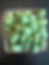 Thumbnail: 10 Pack Heirloom Veggie Plants - Plant Your Own - Huge 12-30” plants