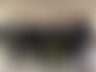 DISPONIBILI LE SLIDE DEL CONVEGNO - Le preoccupazioni per i dazi Usa, l’annuncio di una delibera regionale sui vigneti eroici: alla Fiera di Godega, Regione Veneto e Consorzi di tutela a confronto