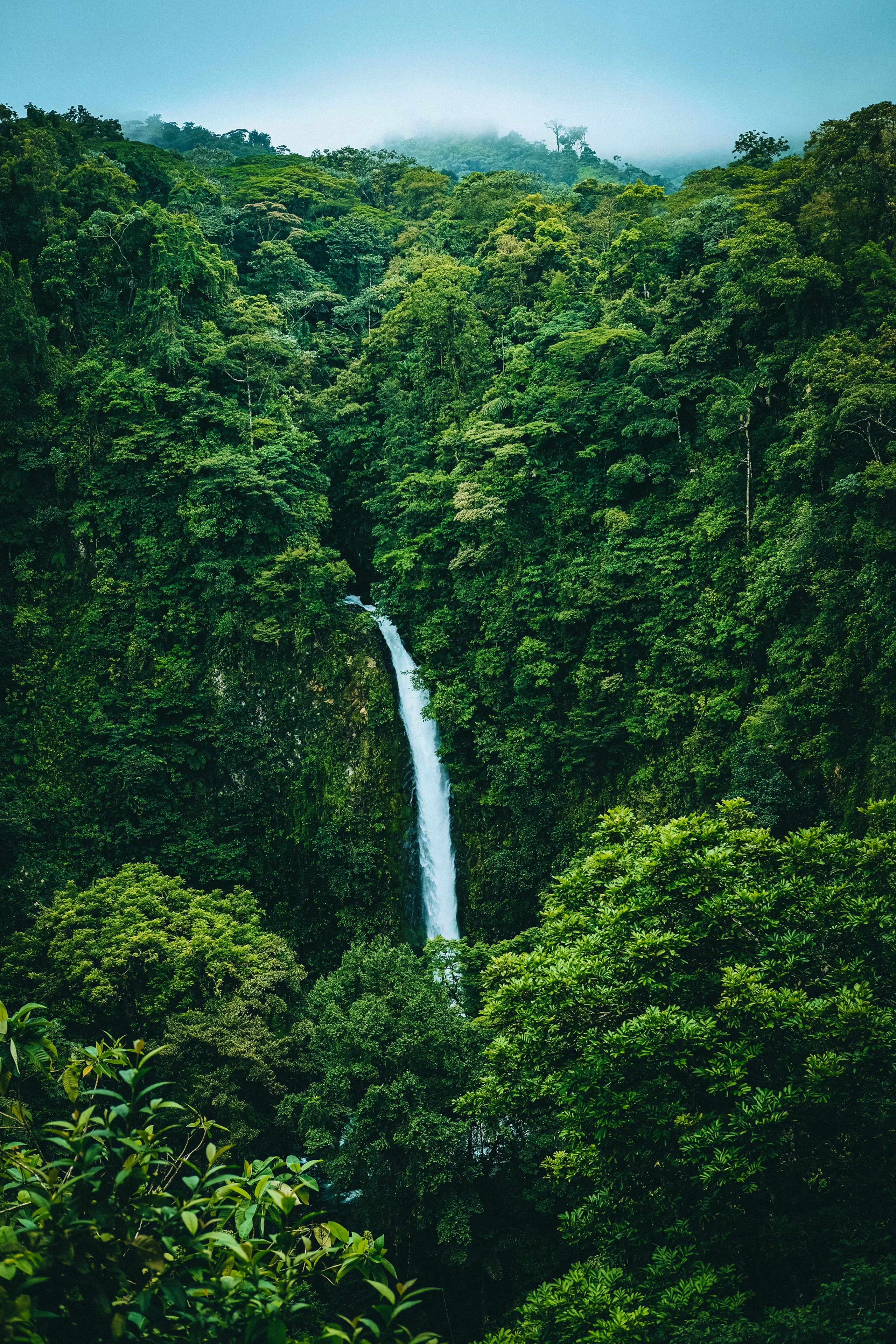 Waterfall in Guadeloupe tropical forest Caribbean
