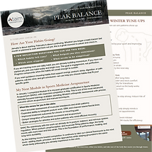 Peak Balance Feb Image.png