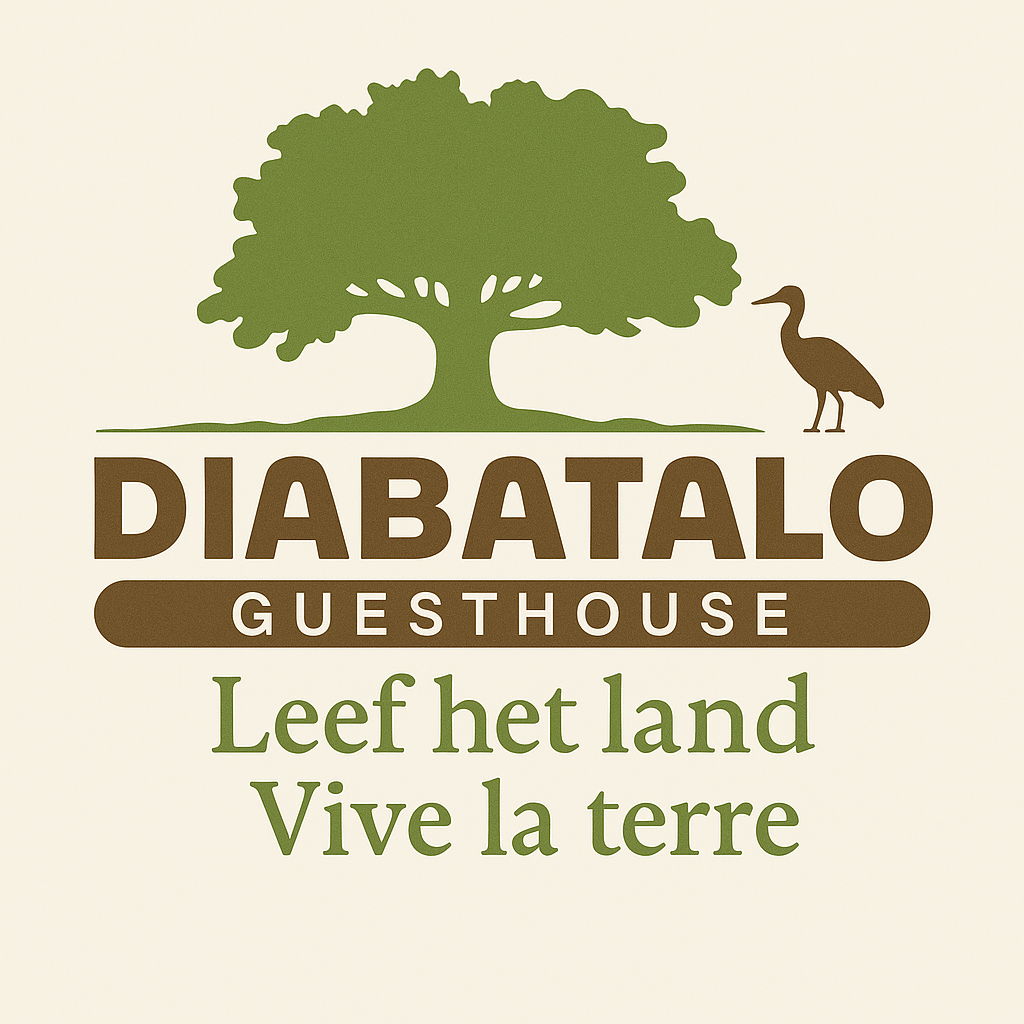 Guesthouse Diabatalo in Abémé, Senegal