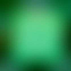 WhatsApp user Alert! Now you'll need a code to enter the app