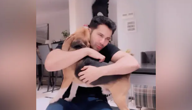 Varun Dhawan , Bollywood