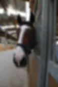 inside millar racing stable