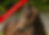 LEASE.png