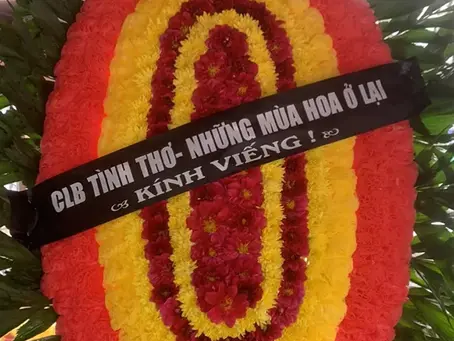 Vong hoa dam tang - Su song moi | Dien hoa Moonflower