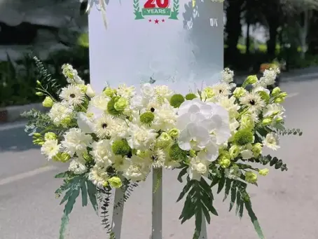 Dat hoa tang khai truong – Tuoi Sang gia re giao hoa tan nha