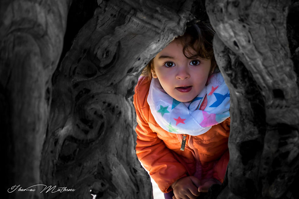 photo de Thomas Mathues