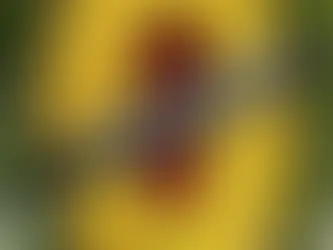 Vòng hoa truyền thống miền Bắc - Thành Tâm