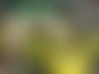 Dat vong hoa nha tang le benh vien 198 giao gap | 0983698184