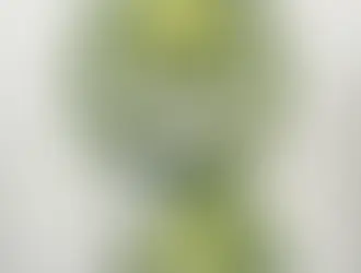 Nhan dat mua hoa chia buon - Thuan Khiet mien phi van chuyen