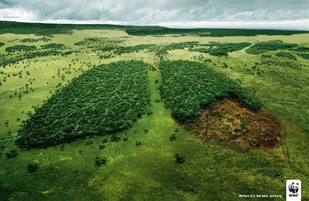 Action pour le climat, coup de chaud pour la planète