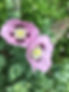 image001.jpg