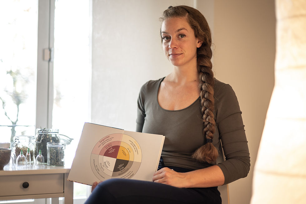 Ablauf Therapie Humoralmedizin.jpg