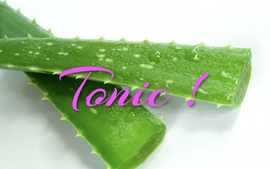 Aloe vera, la panacée ?