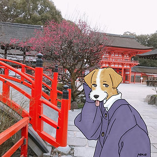 旅 | 京都 | 犬の絵 | ペイント | アウトサイダーアート 
