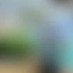 Mitarbeiterin mit Mitarbeiter Shirt an erstem Arbeitstag