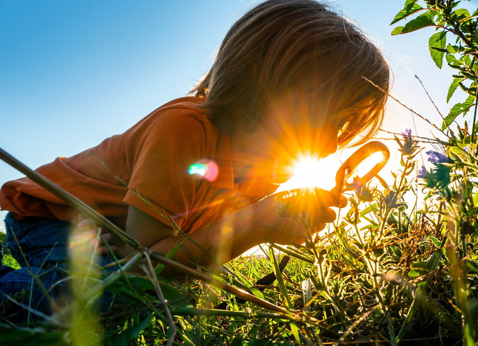 A child discovers the marvels of nature, enjoying the sunlight and experiencing a soothing outdoor journey.