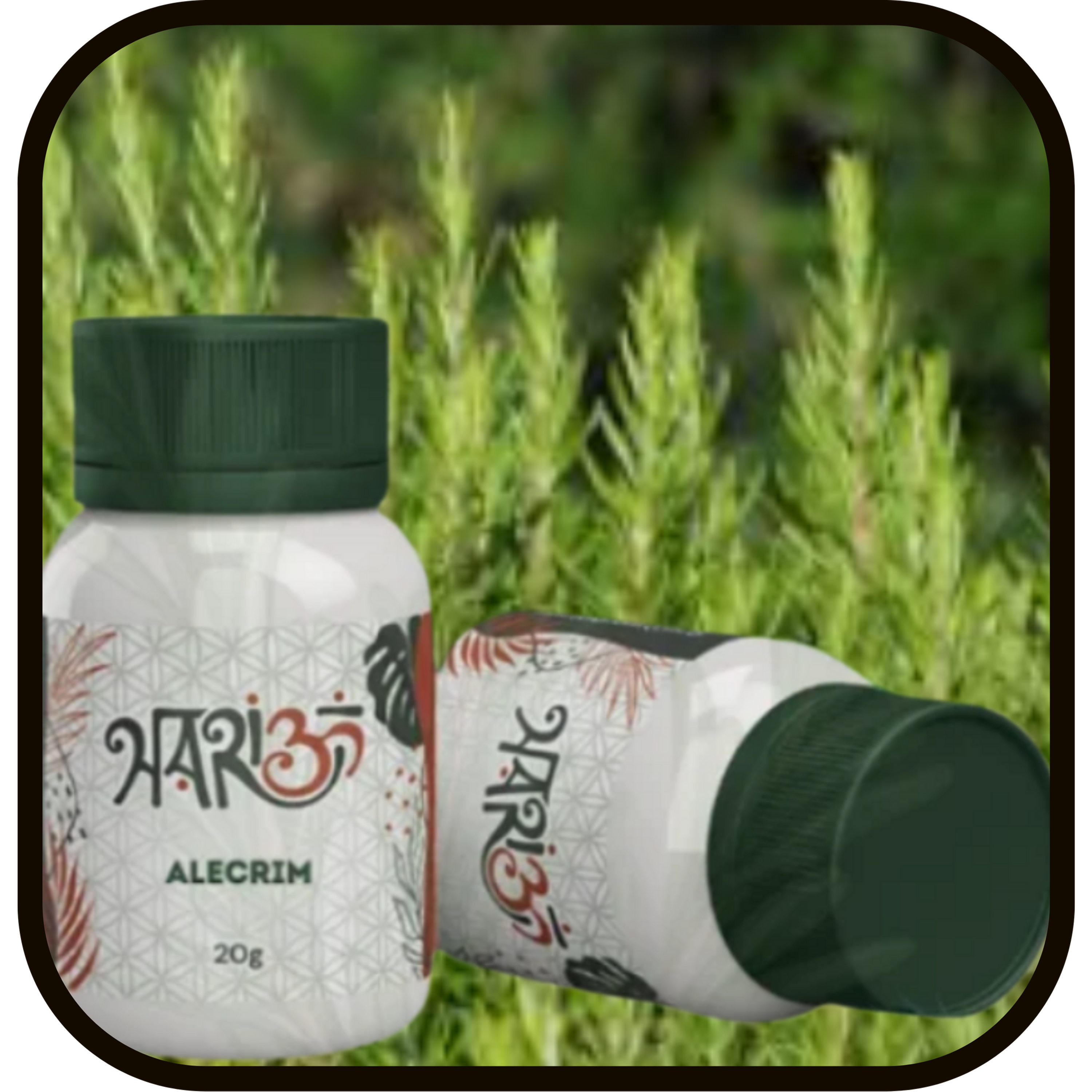 Frascos de Alecrim Hari ॐ, Rapé Indígena Alecrim – Purificação, Clareza e Elevação Energética, 20g ervas.