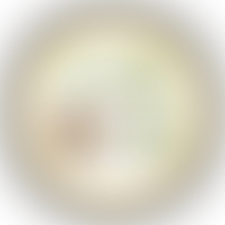 Como a Prática Xamânica Transformou Minha Vida