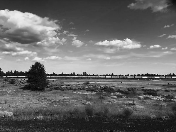 Landsacpe photograph, high contrast, black and white image of a vast grassy plain, old fence posts mark the foreground, on the left side of the composition an evergreen tree stands casting a short yet dramatic shadow, the lumps of hay bales speckle the open field in the distance, on the horizon a passing train's rail cars stretch the the lenght of the frame belting across the earth, above a strong, gentle sky highlighted with puffed shades of white and grey creating dimension, depth and character to the clouds.