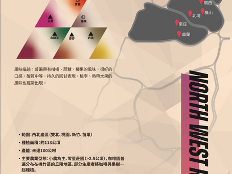 生豆評測 2425.004 桃園復興 SL34 評分81.75