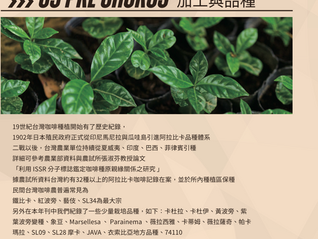 台灣咖啡品種簡介