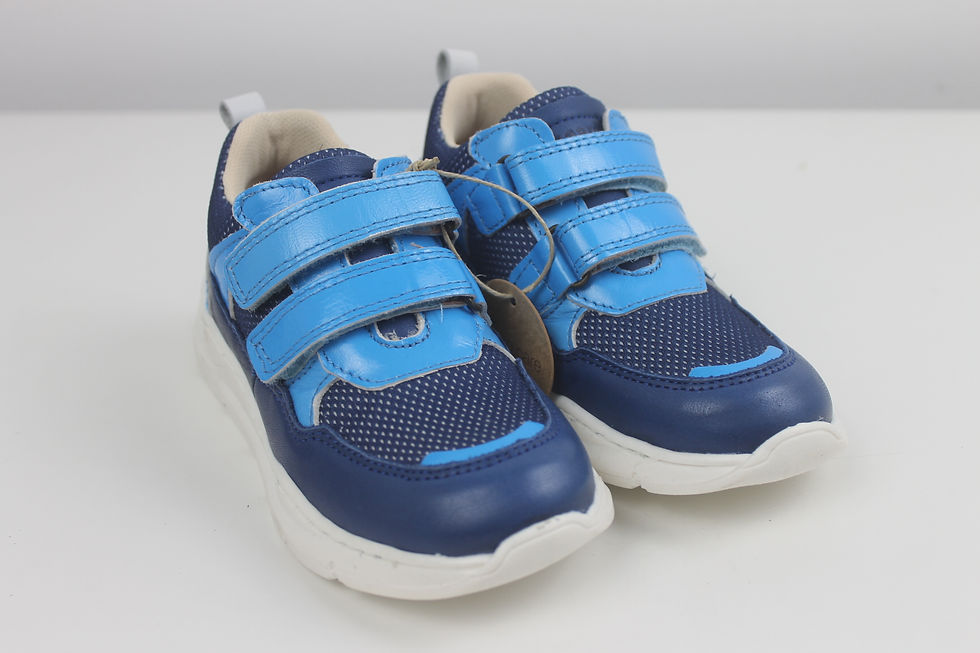 Miniaturbild: Bisgaard "pan"