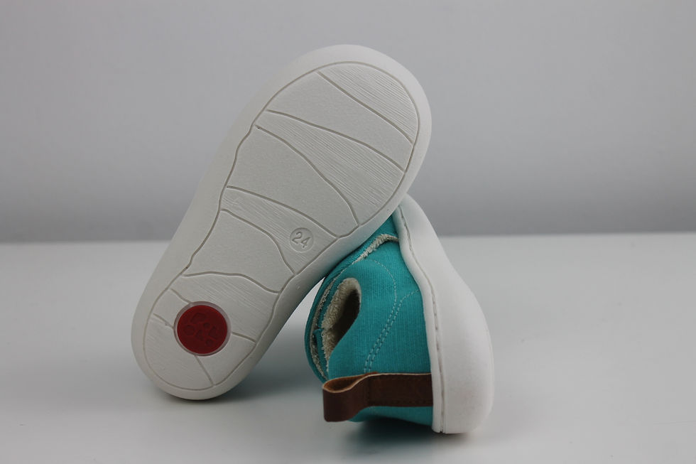 Miniaturbild: Pololo "Chico"