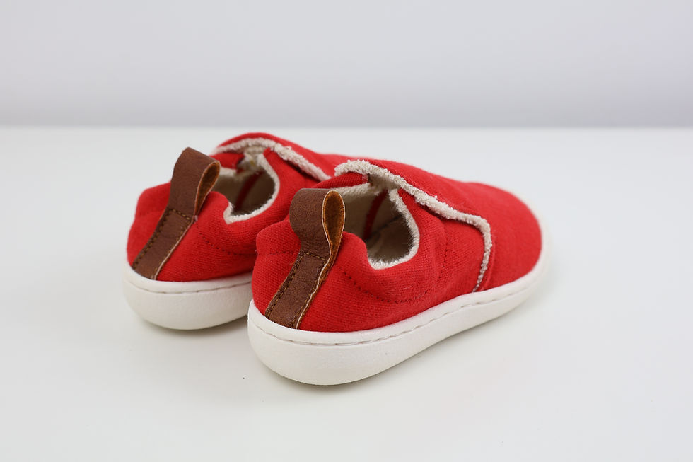 Miniaturbild: Pololo "Chico"