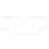 BYD ARISTA SUNTER.png