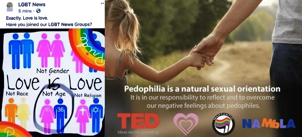 LGBTQ TED TALKS & NAMBLA