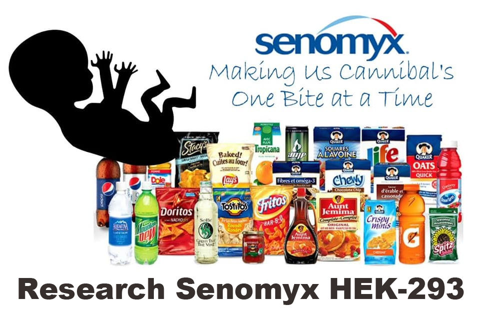HEK293 Senomyx