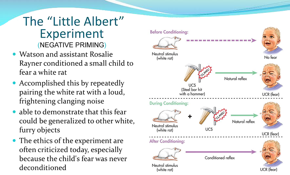 Conditioning - The Little Albert Experiment.png