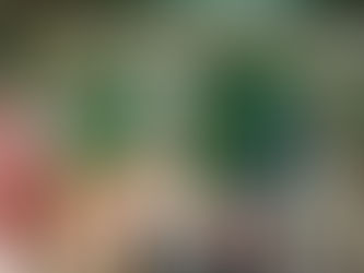 第29回福岡県美しい景観選 大賞受賞