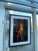 IMG_9936.jpeg