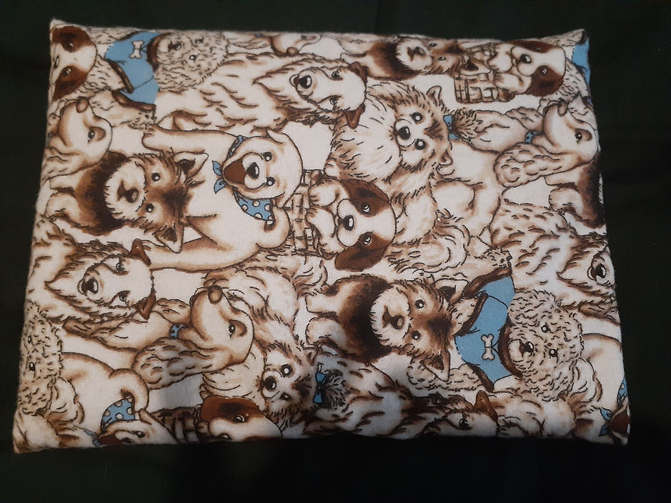 Thumbnail: Lap Flax Warming Pillow