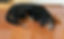 197225887_4364170646966830_5427120932548357768_n_edited.jpg